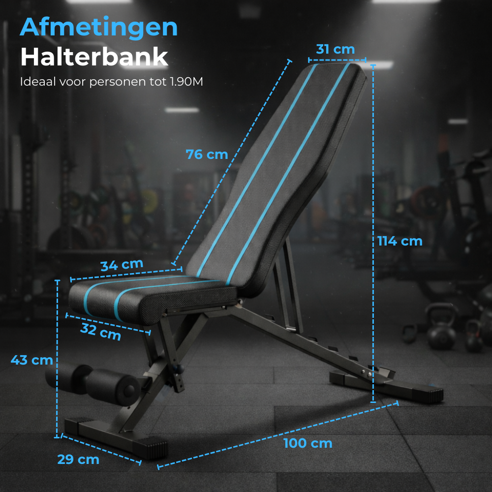 Halterbank